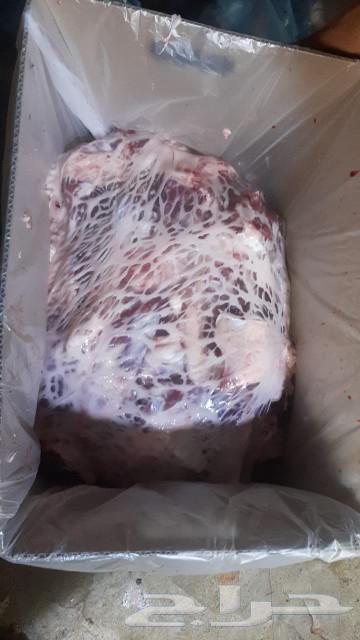 Roasted lamb63205567585795111