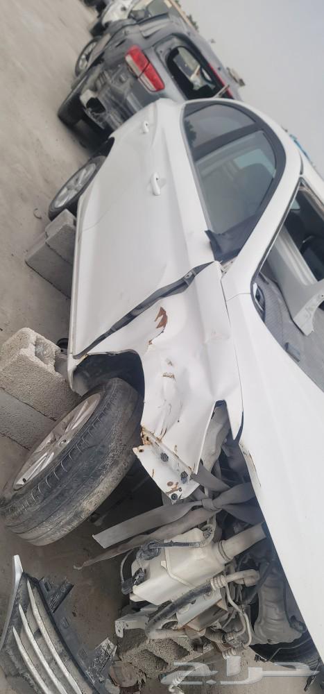 شنجان الاسفن 201963310736417281112