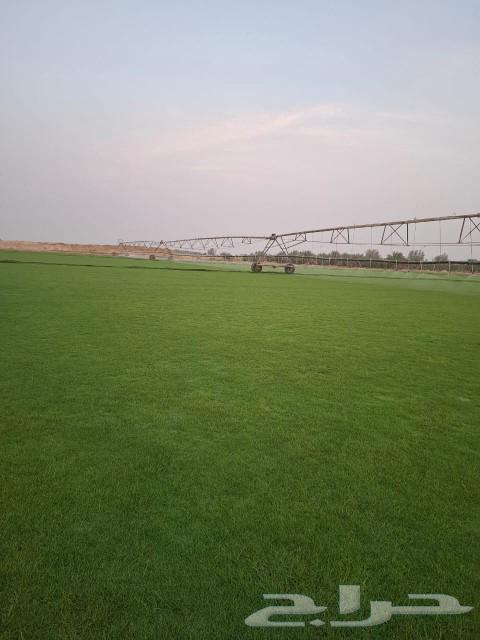 Thil Si2000 pure and natural gravel says63206123987585111