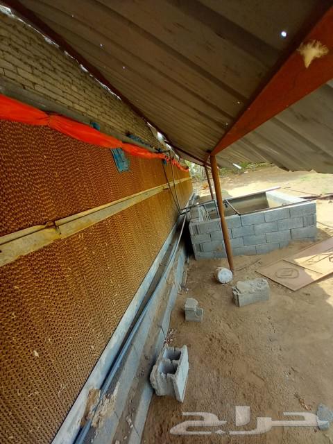 Poultry farm items for sale63205081222787113