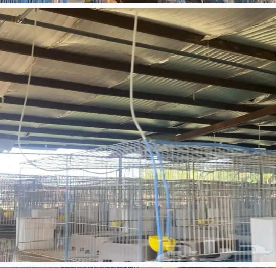 High-quality imported cables and wires, unused and for sale63205575483522111