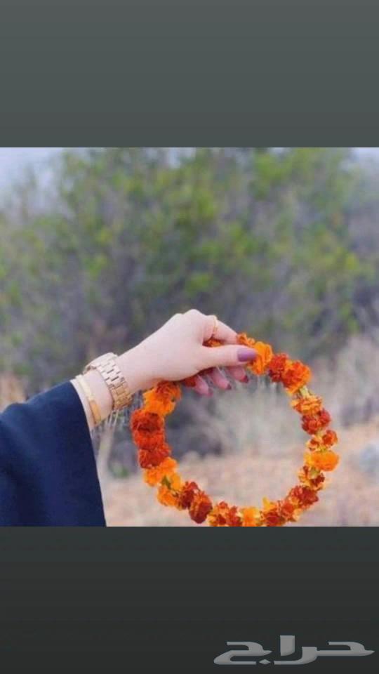 Necklaces of narcissus, bracelets of narcissus63205582608898111