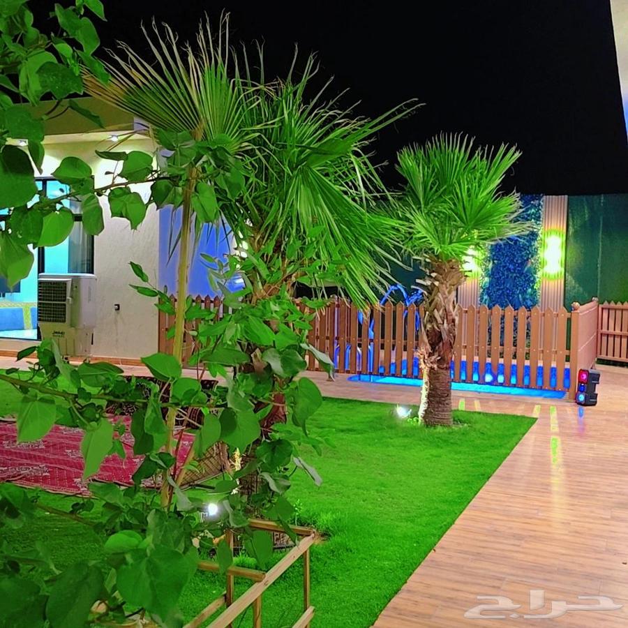 شاليه للايجار شمال بريدة ب350 ريال63009002064258111