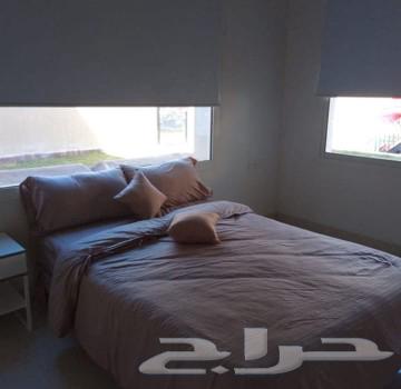 Daily rental cottages62884381150467112