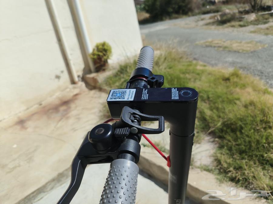 Niazi scooter63197346481282114