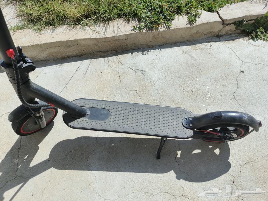 Niazi scooter63197346481282111