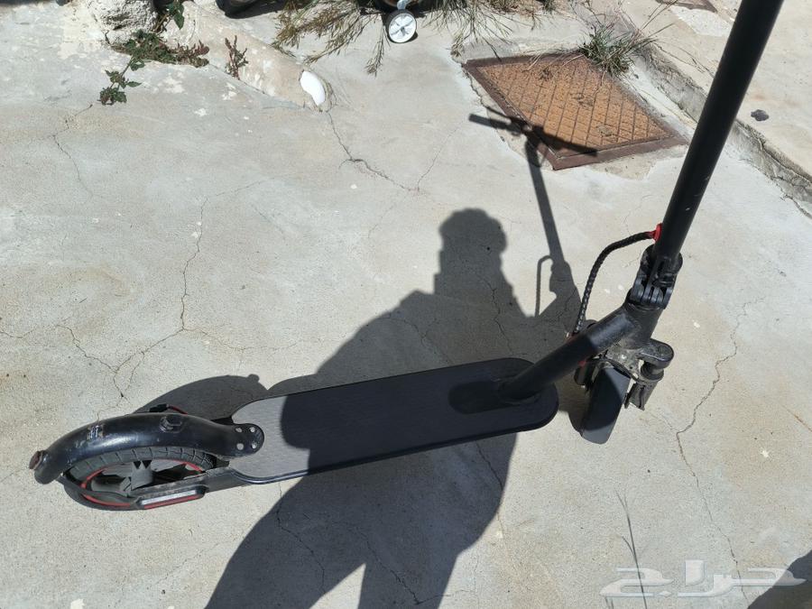 Niazi scooter63197346481282112
