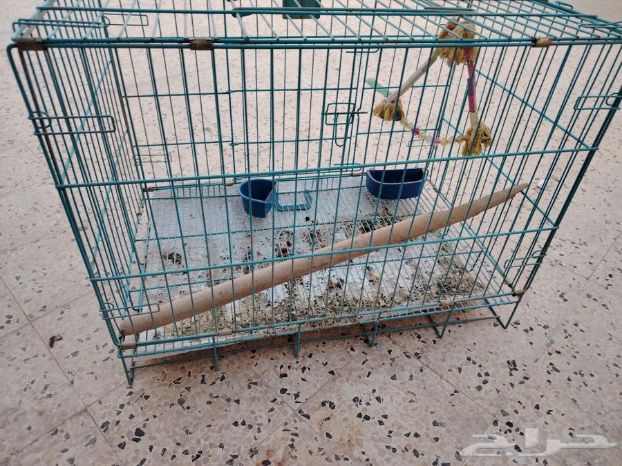 A cage for dogs and cats, but I use it for birds.63193827223938113