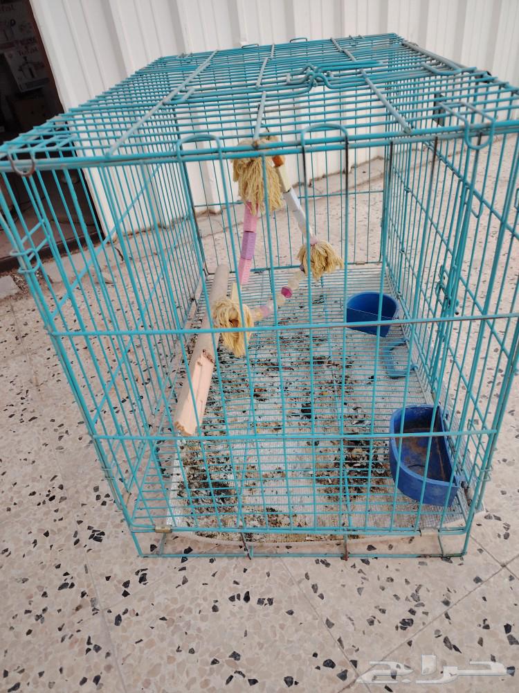 A cage for dogs and cats, but I use it for birds.63193827223938112