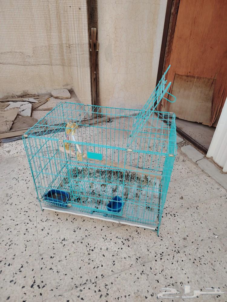 A cage for dogs and cats, but I use it for birds.63193827223938111