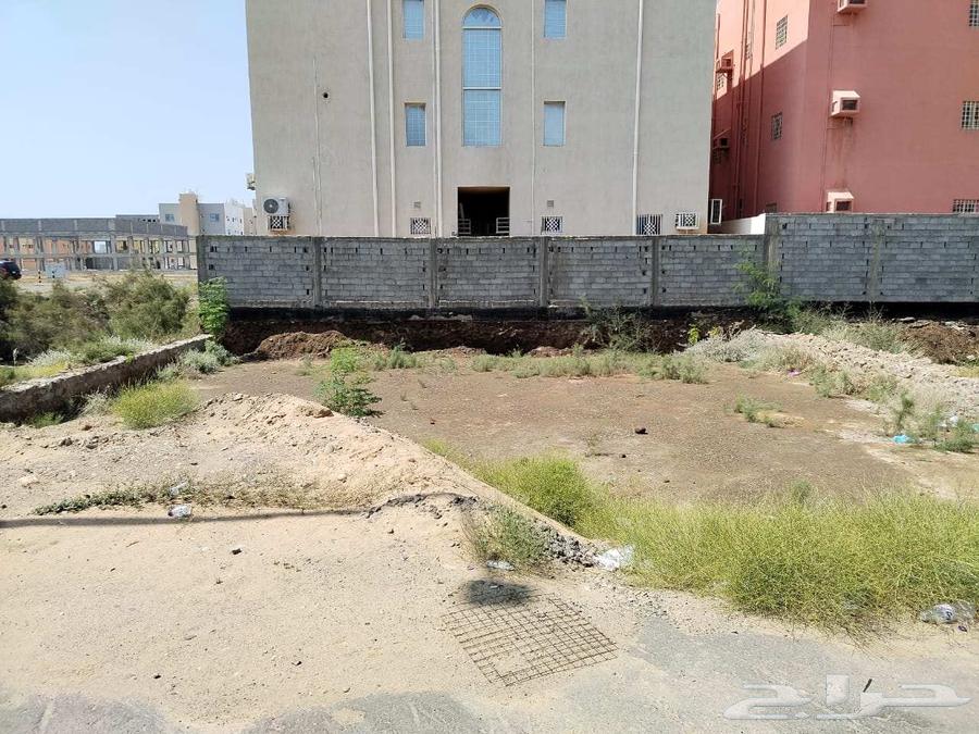 ارض بحي السويس63015209956097111