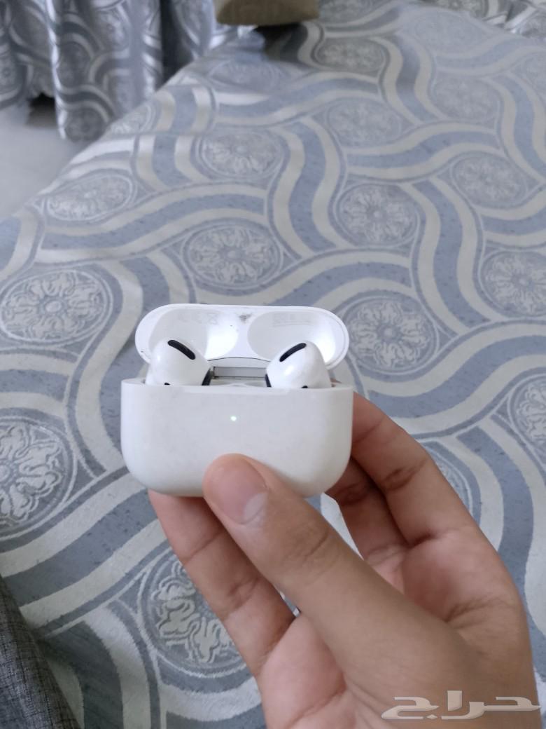 Apple Earphones631913230421791114
