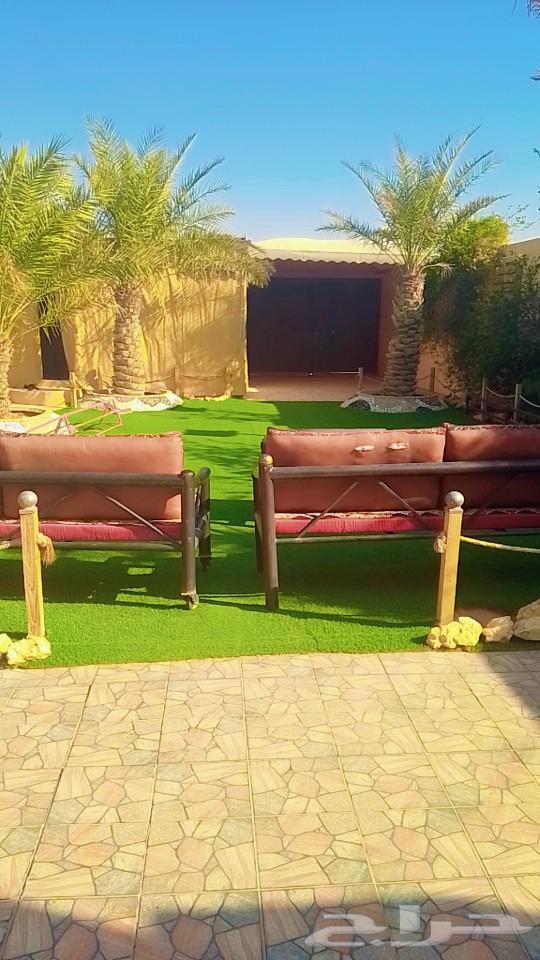 Saqr Rest House Daily Rent62884386268290113
