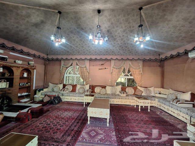 A luxurious large villa for daily rent and investment63016084916737113