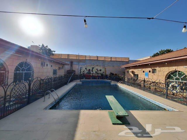 A luxurious large villa for daily rent and investment63016084916737111
