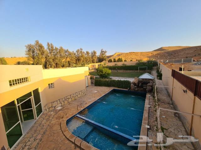 Warafa Rest Area - Large Volleyball Court62884387606913113