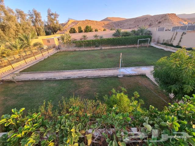 Warafa Rest Area - Large Volleyball Court62884387606913112