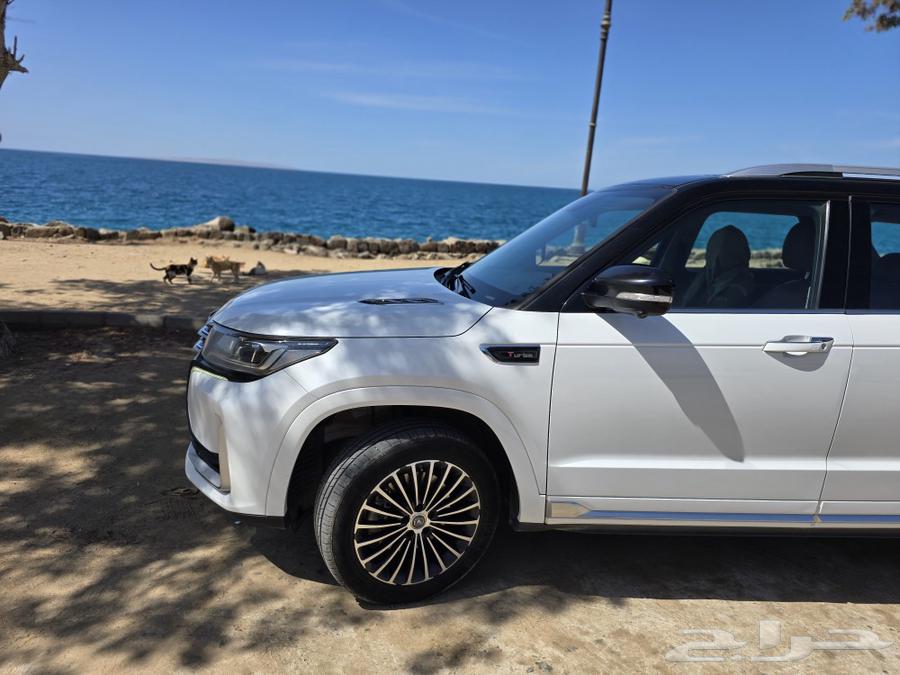 Shanghai 202363290546821121110