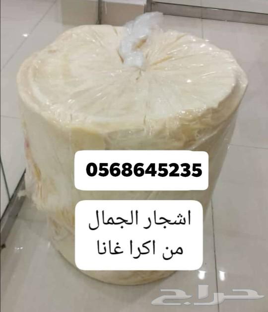 Only available on Thursday and Friday, free shipping on shea butter to any area63187922437378113