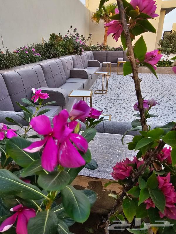 VIP rest area for rent63016085362305114