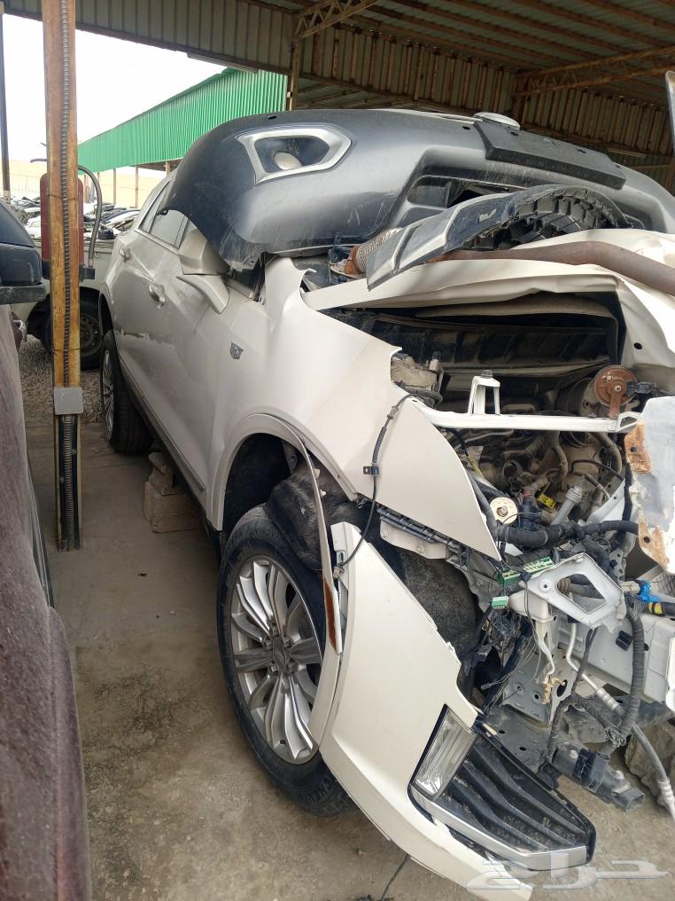 كدلاك xts موديل 201663289862201217113