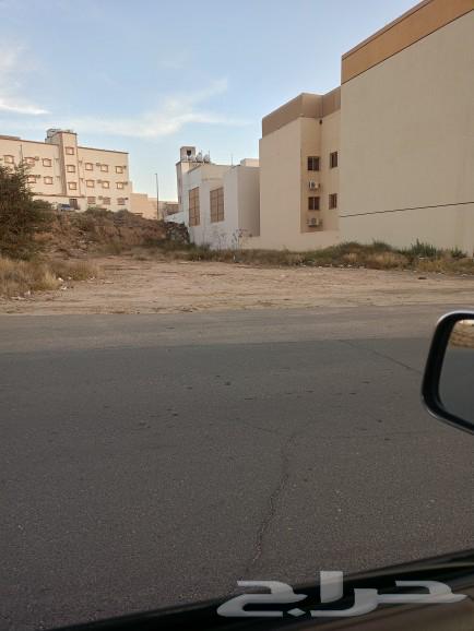 Commercial land for rent on Bani Malik Al-Areen road62884660948866114