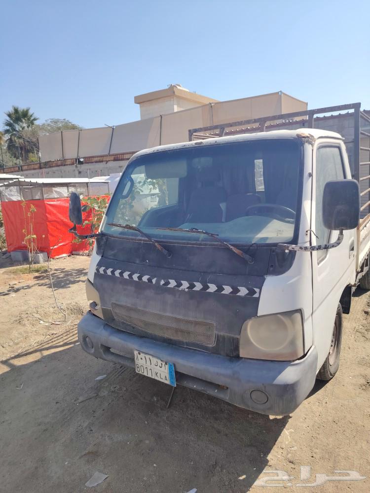 Al-Qatif Al-Awamiya63248975738242113