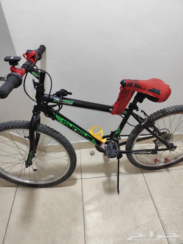 Speed bike with lock, bottle holder, horn, and phone holder.632484700604181119