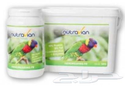 Nectar and food for Lorrie nutavian63250566215555111