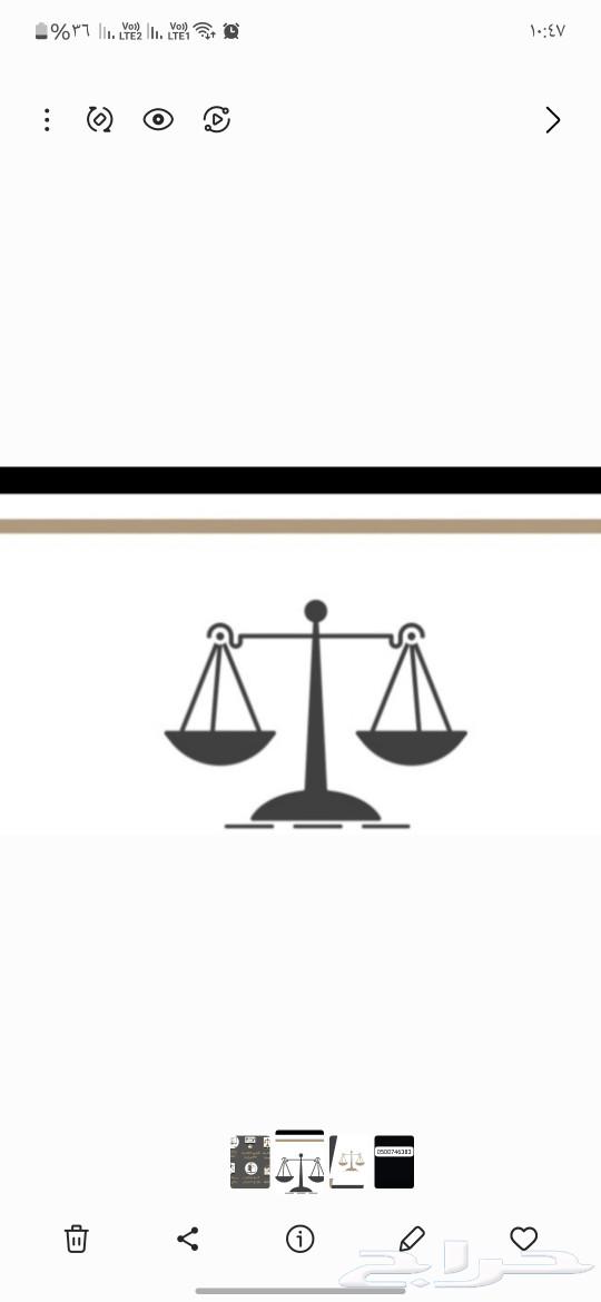 Lawyer and Legal Consultant63024012685314113