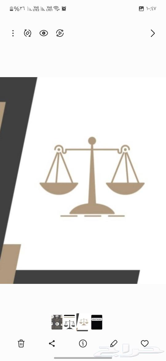 Lawyer and Legal Consultant63024012685314110