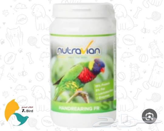 Nectar and food for Lorrie nutavian63250566215555112