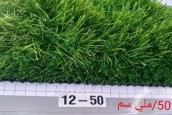 تر يب عشب الصناعي دي ورات63244429346178112