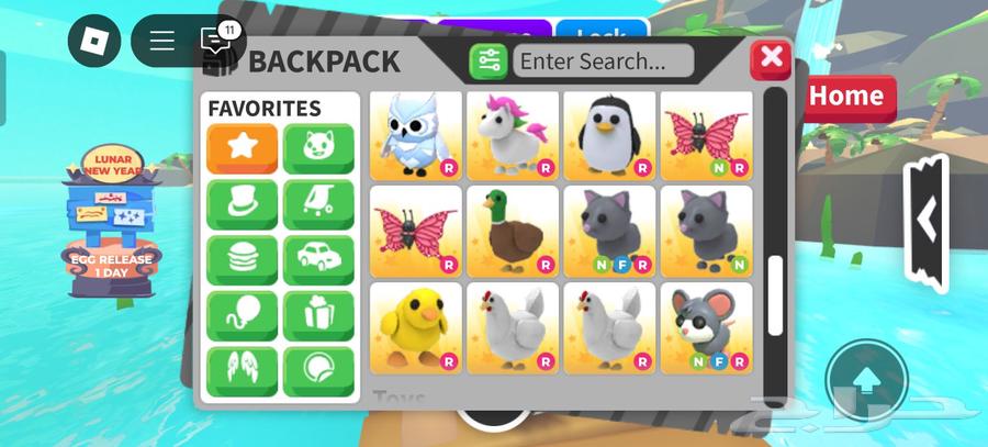 Animals adopted by me at a low price63255784970369112