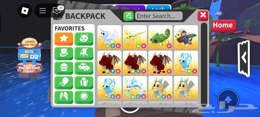 Animals adopted by me at a low price632557849703691113