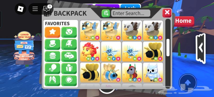 Animals adopted by me at a low price63255784970369111