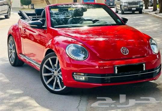 Beetle 201663367117179651113