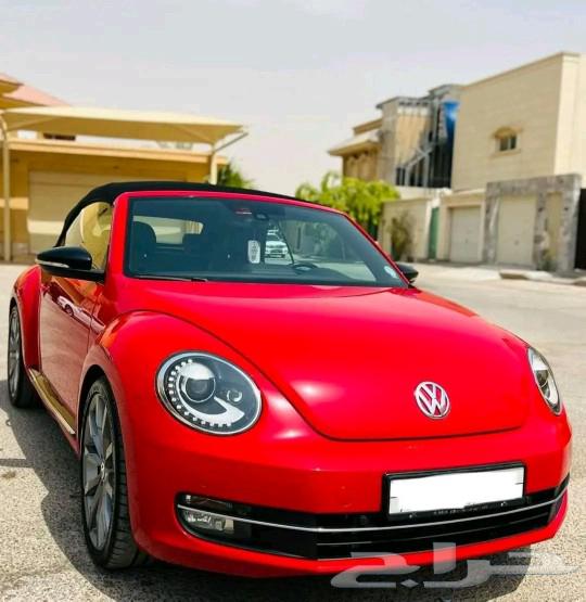 Beetle 201663367117179651114