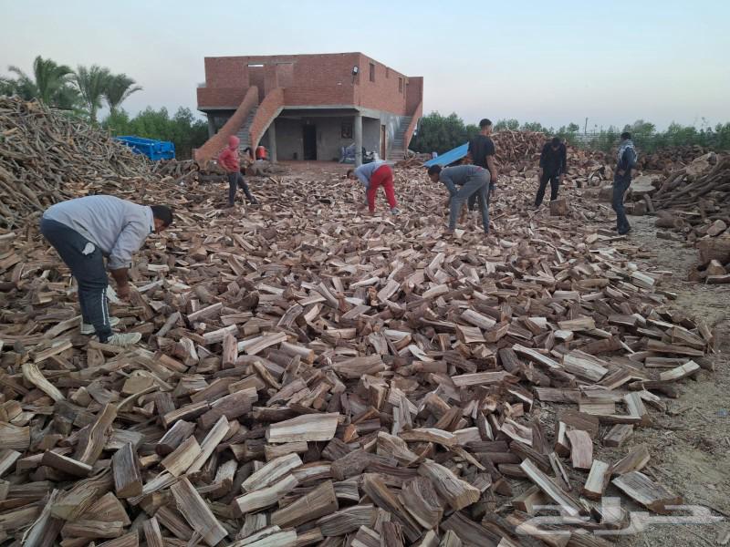 حطب صمط وجازوري مصري بأقل الاسعار63370318592257114