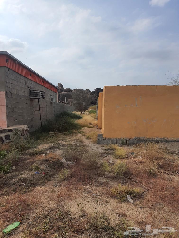 Houses for rent62884358756609112