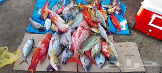 Fishing and picnicking trips in a covered area63023563821058114