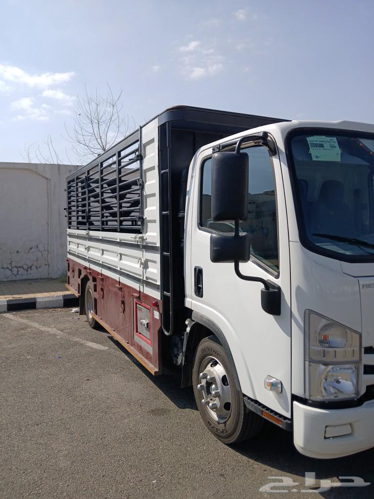 Dina Mahayel Bariq Majarda Halat Al-Birk Al-Qawz Al-Suwaleha Jeddah Abha63470289722497111