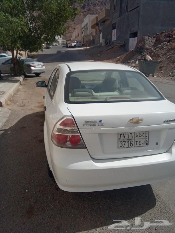 شفر ليه63358467670658112