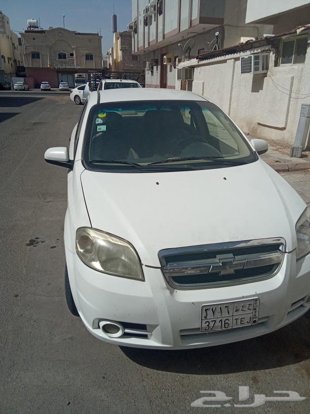 شفر ليه63358467670658114