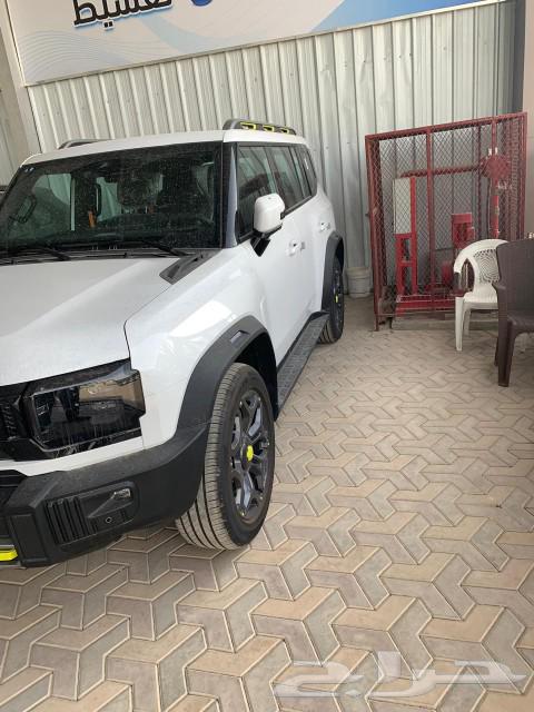 Geely T2 202563276565850370114
