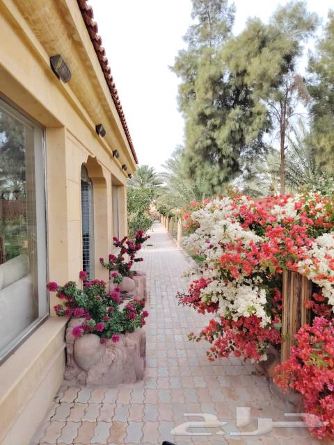 Al-Arak Resort for daily rental63181530008066111