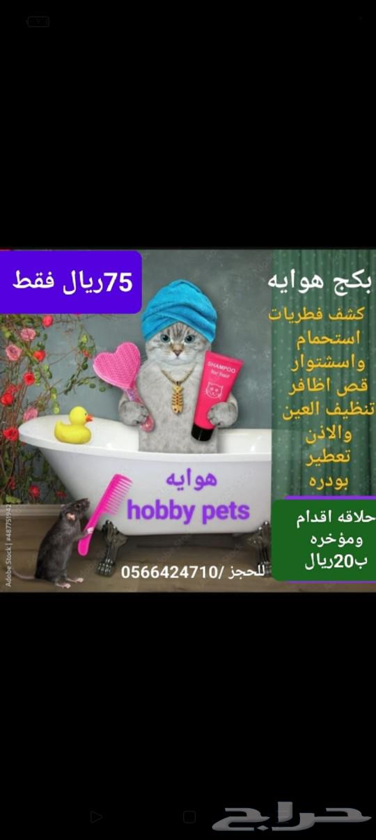 فندقه خمس نجوم لاجازه العيد63021764530818112