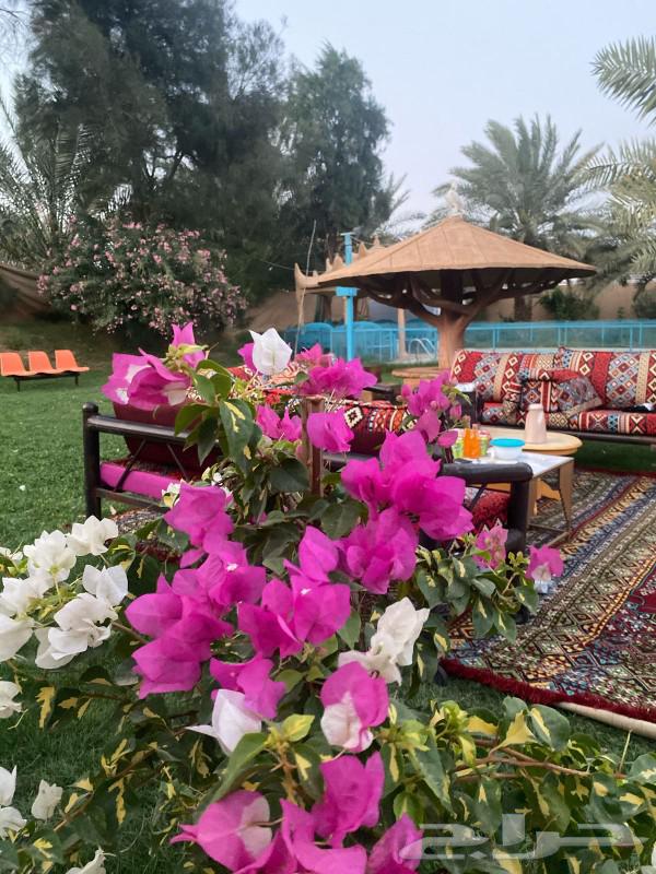 Al-Arak Resort for daily rental63181530008066113