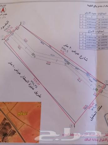 ارض تجاريه للبيع او الاستثمار63014742632450113