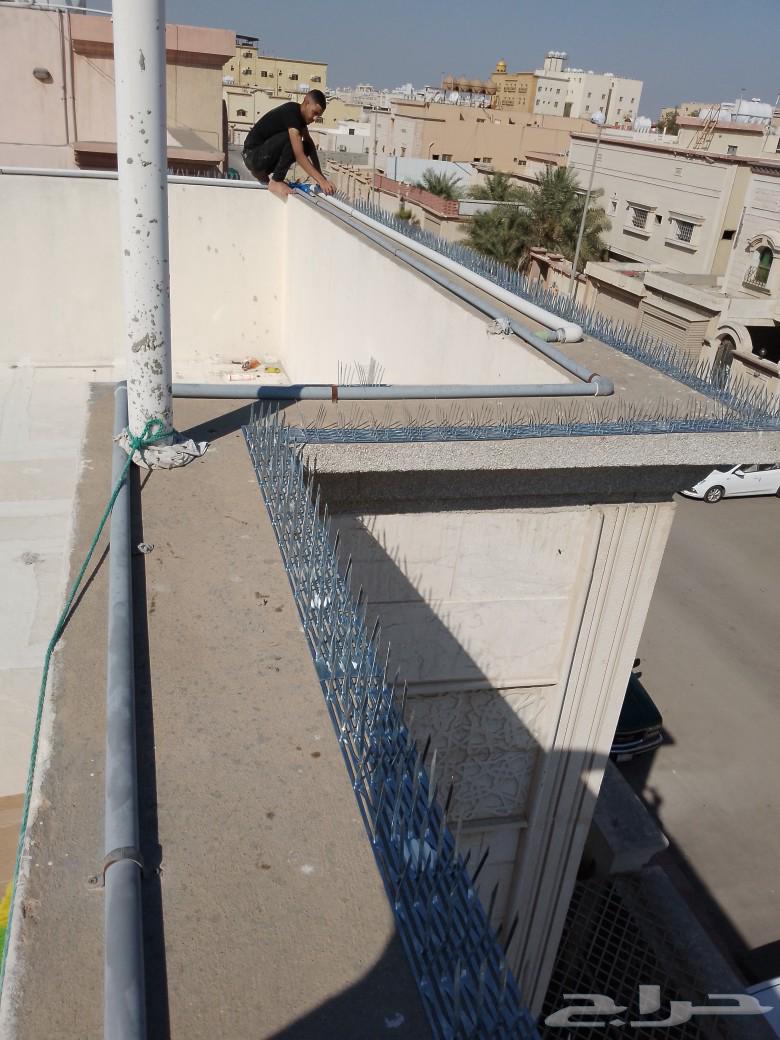 طارد الحمام مكافحة الحمام63009601226754113
